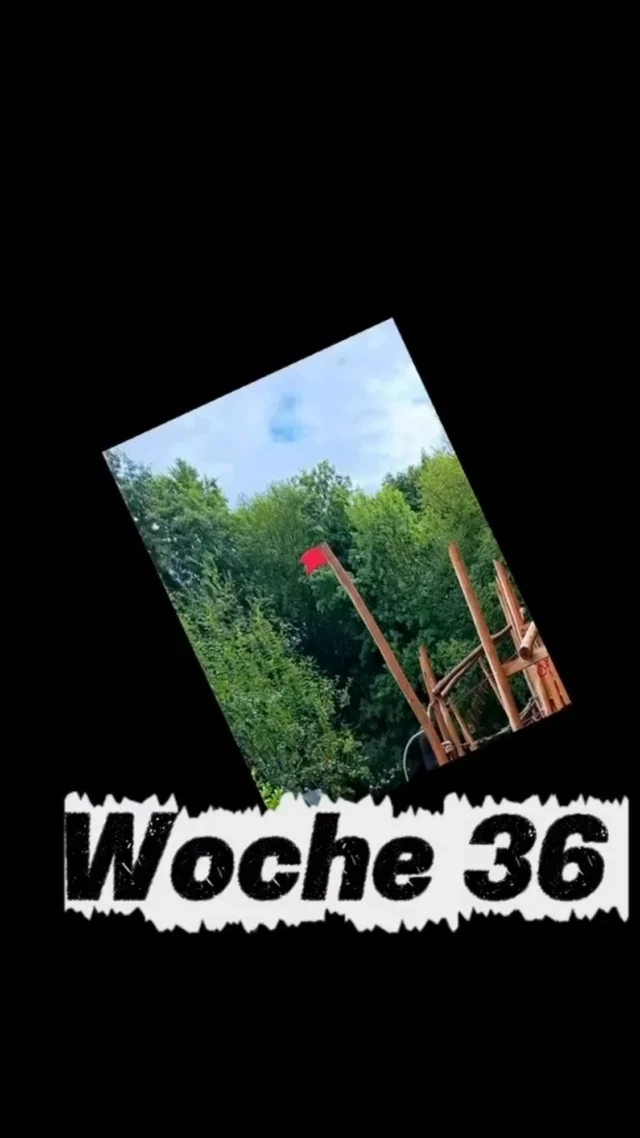 50 Jahre 50 Projekte Heute geht die Spende an den Förderverein Willms Gymnasium. Hier zur Unterstützung für das neue Klettergerüst 😄#mausolf #wärmepumpe #delmenhorst #ganderkesee #heizung